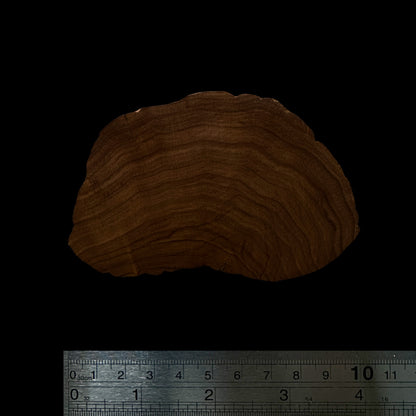 BMSWS139 Black Meat Figured Mysore Sandalwood Slab 7.8mm Thickness 38 grams