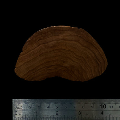 BMSWS150 Black Meat Figured Mysore Sandalwood Slab 7.8mm Thickness 37.8 grams