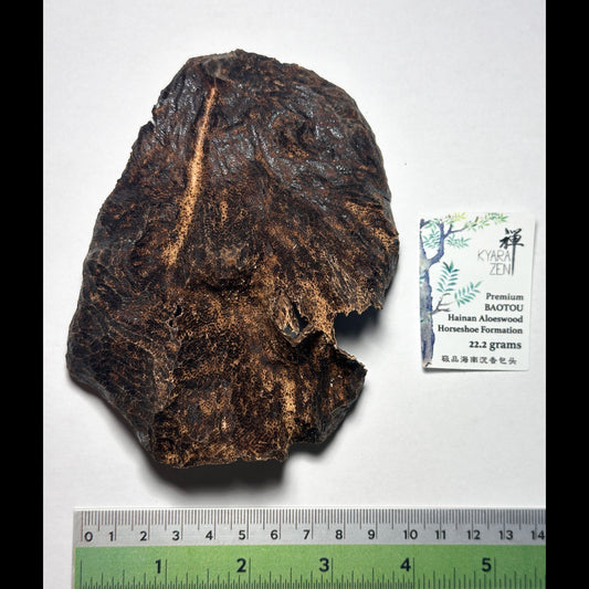 Premium Baotou Hainan Aloeswood Horseshoe Formation 22.2g